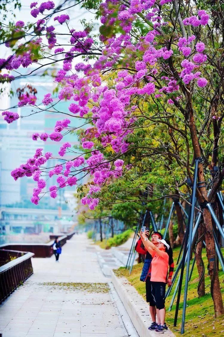 “开云电竞官网”水电验收注意事项(图2) 开云电竞