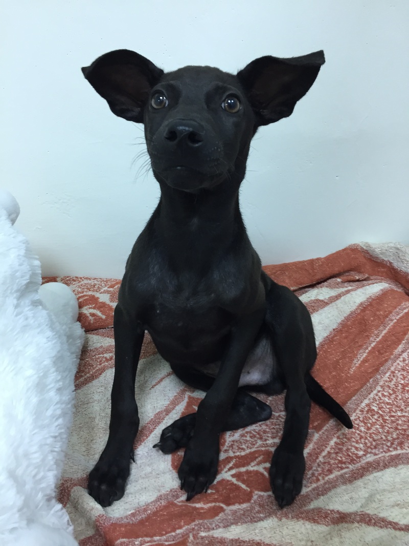 “开云电竞官网”房子装修顺序大致是怎样的?(图2) 开云电竞