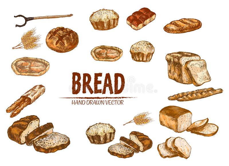 淄博成功研制尾气净化装置【开云电竞】(图1) 开云电竞