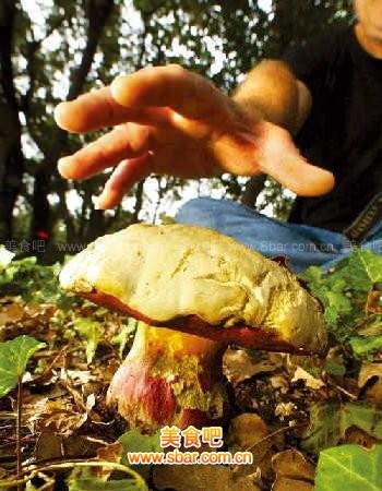 客厅吊顶验收注意事项有哪些?:开云电竞官网(图1) 开云电竞官网