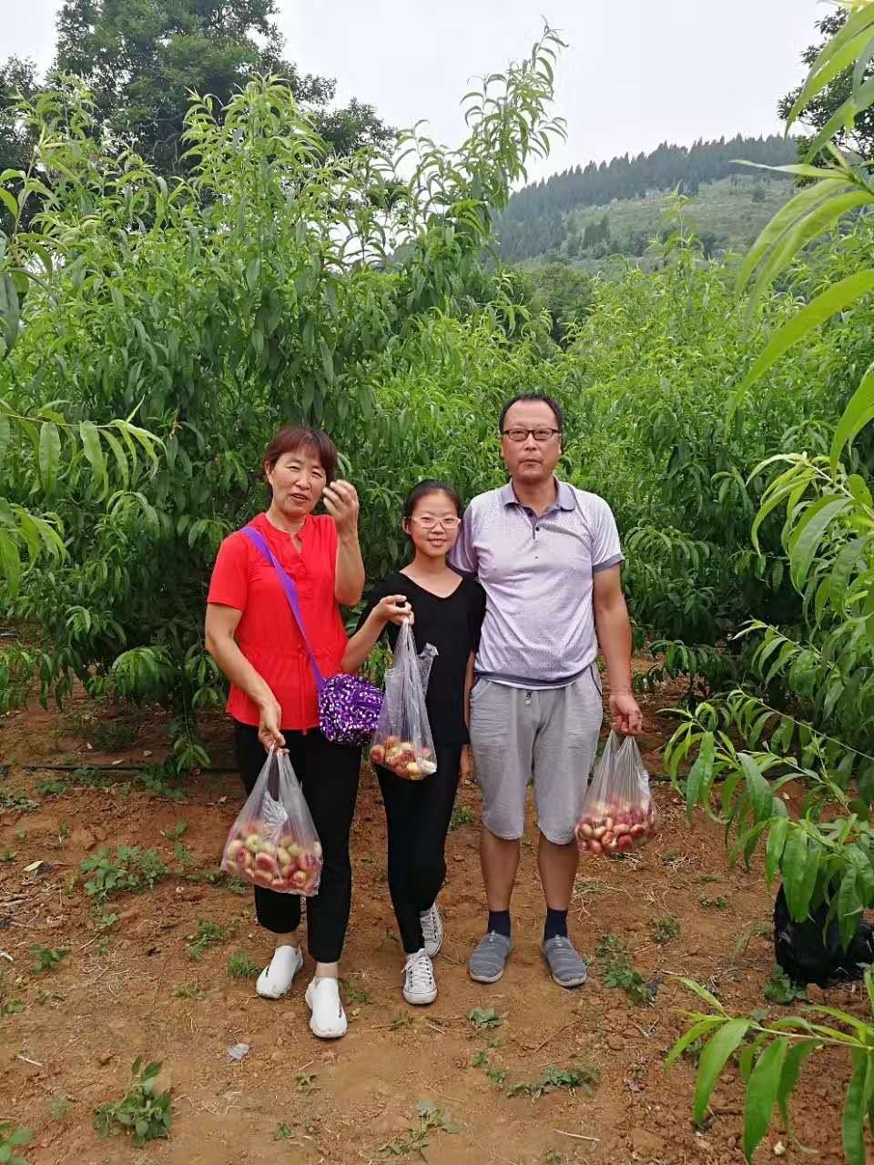 开云电竞官网-80后超赞小户型蜗居神器(图1) 开云电竞