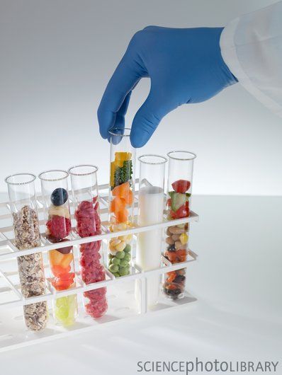 谷文泽主演《丛林历险记》将上映 开启丛林求生冒险之旅‘开云电竞app下载安装’(图1) 开云电竞官网