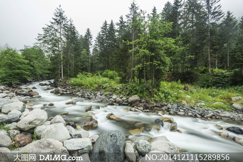 开云电竞app下载安装