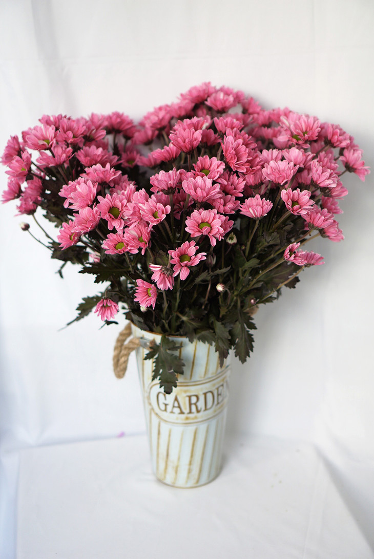 (08月30日)国际油市将维持弱势国内成品油价存在下调可能‘开云电竞app下载安装’(图3) 开云电竞官网