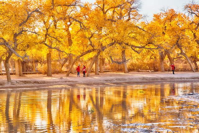 开云电竞_《特种部队:蛇眼起源》剧照首发蛇眼忍者装出镜(图1) 开云电竞app下载安装