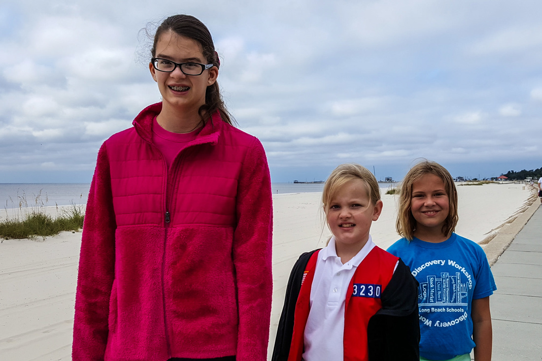 开云电竞app下载安装