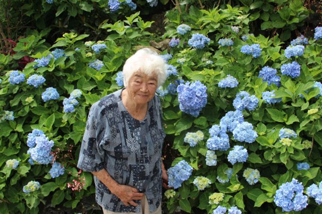 开云电竞app下载安装