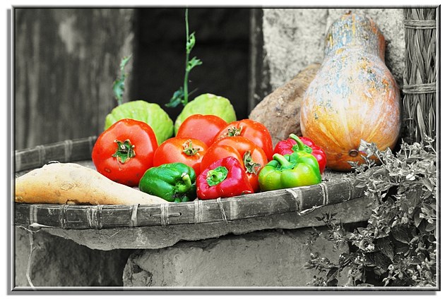 开云电竞app下载安装