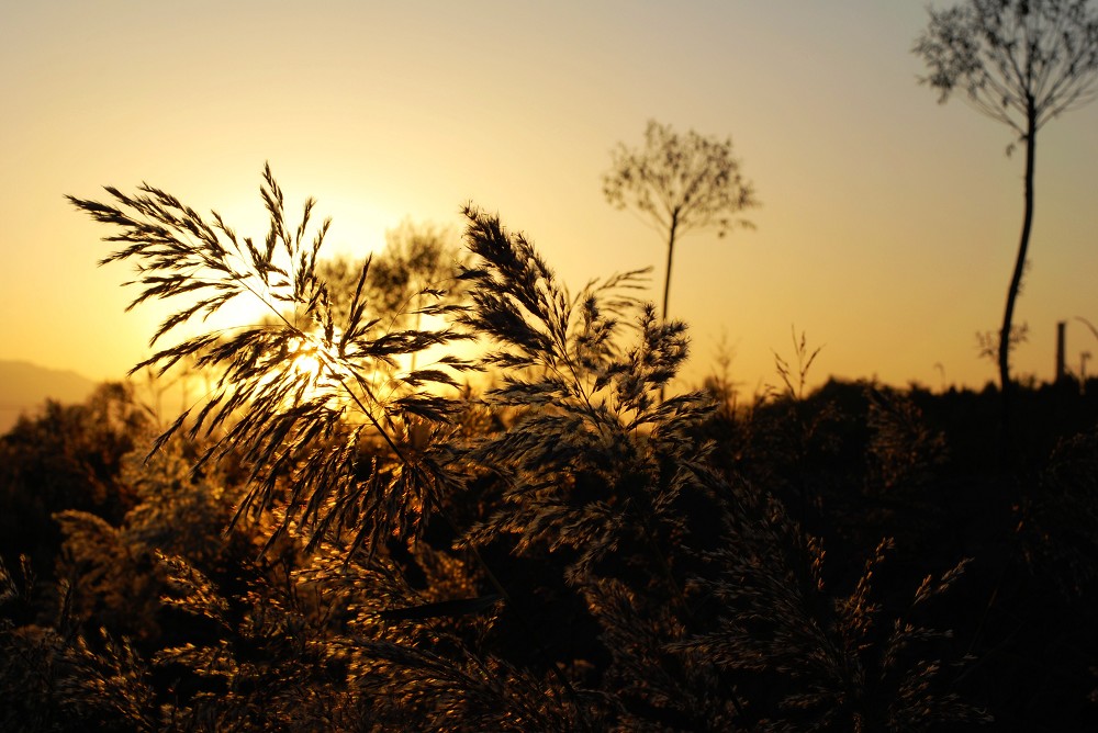 豪华阵容的《你好,之华》,为啥票房不到5000万?【开云电竞】(图1) 开云电竞官网