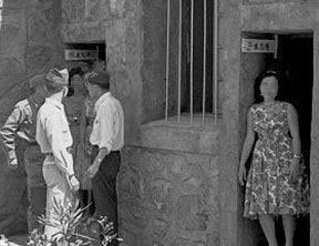 开云电竞app下载安装