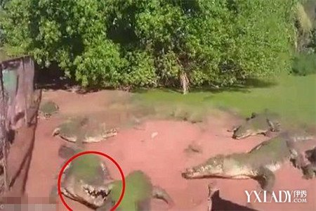 90家大型煤企前2月原煤产量3.7亿吨_开云电竞官网(图4) 开云电竞官网