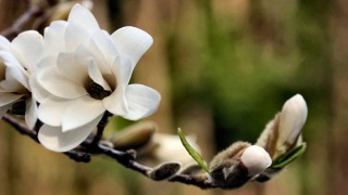 (12月03日)玉门浩海200万吨焦化项目有效激活煤化工产业链条-开云电竞app下载安装(图3) 开云电竞app下载安装