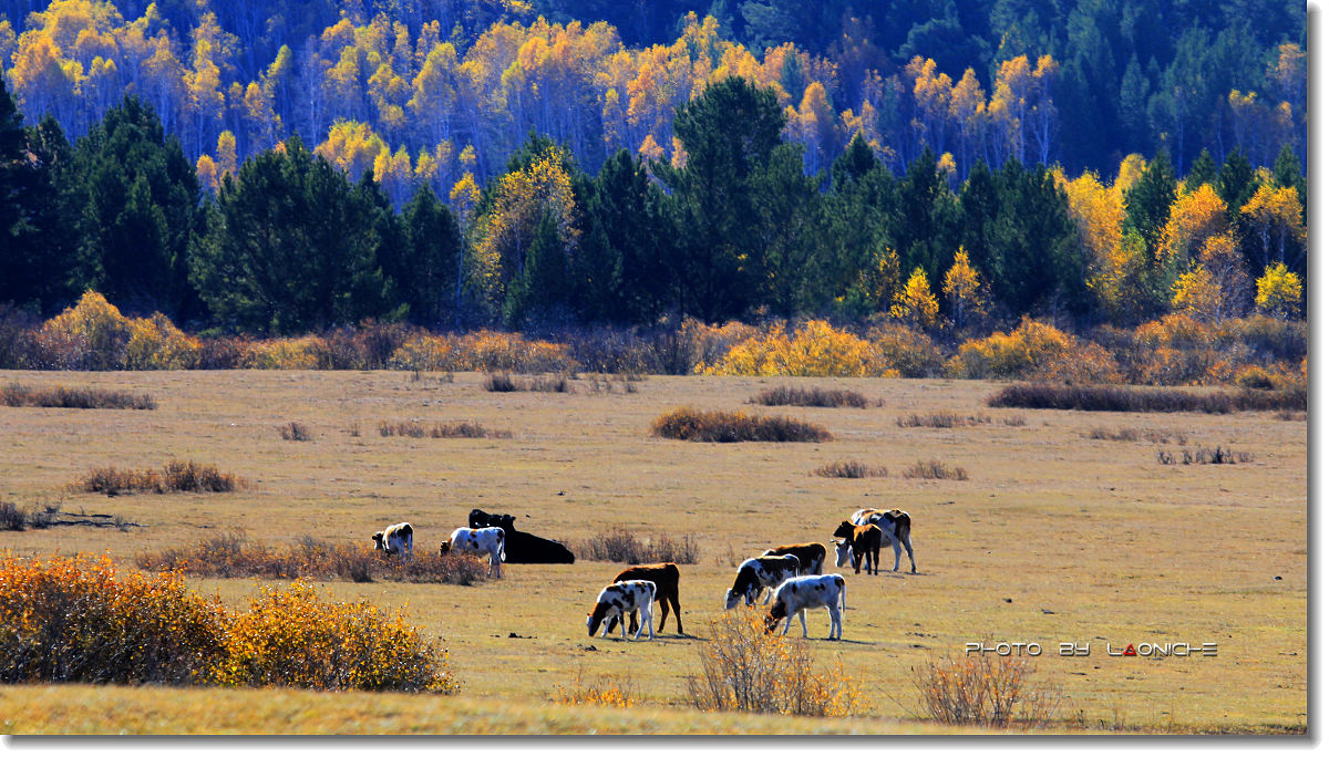 开云电竞app下载安装_石化业运力受限难题有望破解(图1) 开云电竞app下载安装