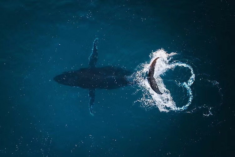 利好政策密集“铺路”环保行业景气度持续提升-开云电竞(图2) 开云电竞官网