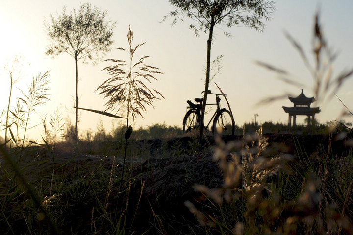 动画电影《大象林旺之一炮成名》定档8月4日|开云电竞app下载安装(图1) 开云电竞app下载安装
