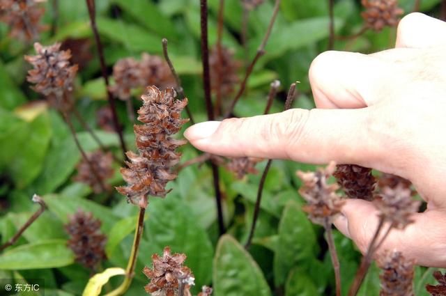 床头柜都有哪些类型的?“开云电竞app下载安装”(图1) 开云电竞