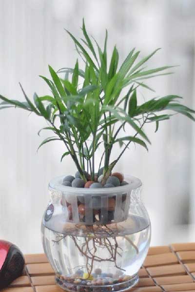 开云电竞:邓超口碑力作全国公映《银河补习班》成暑期全家观影首选(图2) 开云电竞