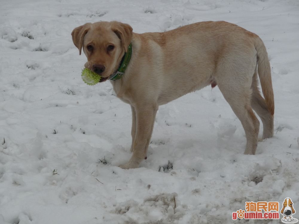 开云电竞_(10月25日)贵州省煤化工产业依托大项目提速发展(图1) 开云电竞官网
