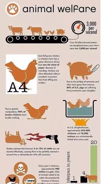 开云电竞app下载安装