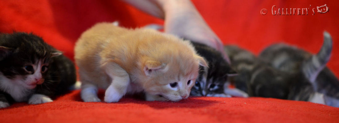 开云电竞官网-尤长靖亮相《神奇的汉字》 机智应答彰显文化功底(图4) 开云电竞官网