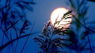 开云电竞app下载安装