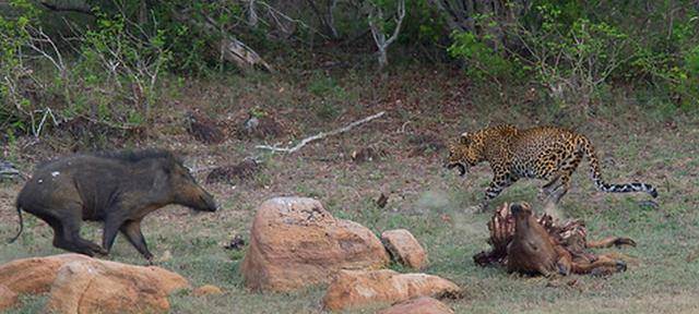 开云电竞app下载安装