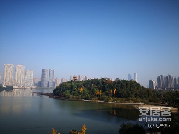 开云电竞app下载安装