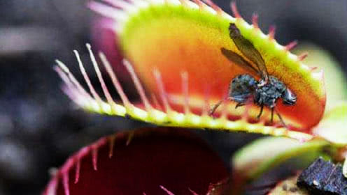 开云电竞app下载安装