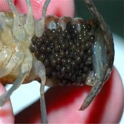 开云电竞官网