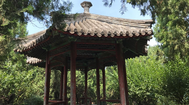 开云电竞app下载安装|电影《毕业旅行之逍遥骑士》发终极海报预告 青春与理想起航在路上(图4) 开云电竞app下载安装